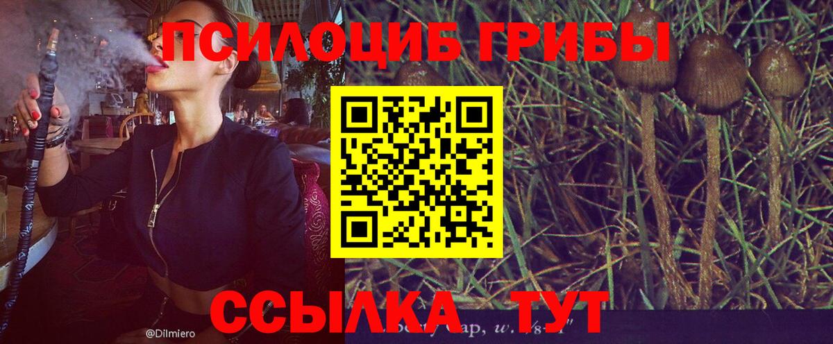 Галлюциногенные грибы MAGIC MUSHROOMS  Псилоцибиновые грибы Psilocybe  Кудрово  Вход с VPN 