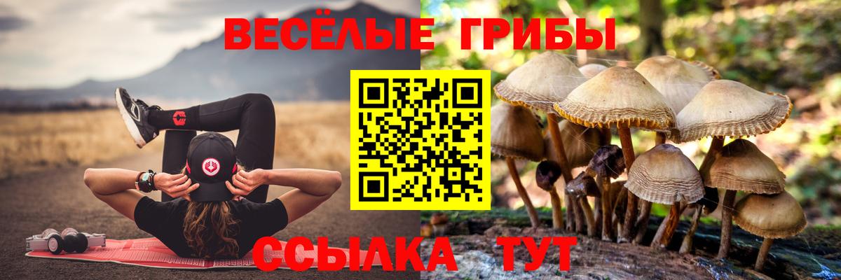 Галлюциногенные грибы Cubensis Кудрово